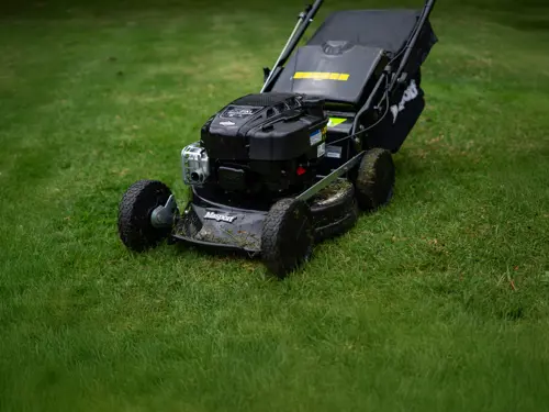 Professional Mowers 